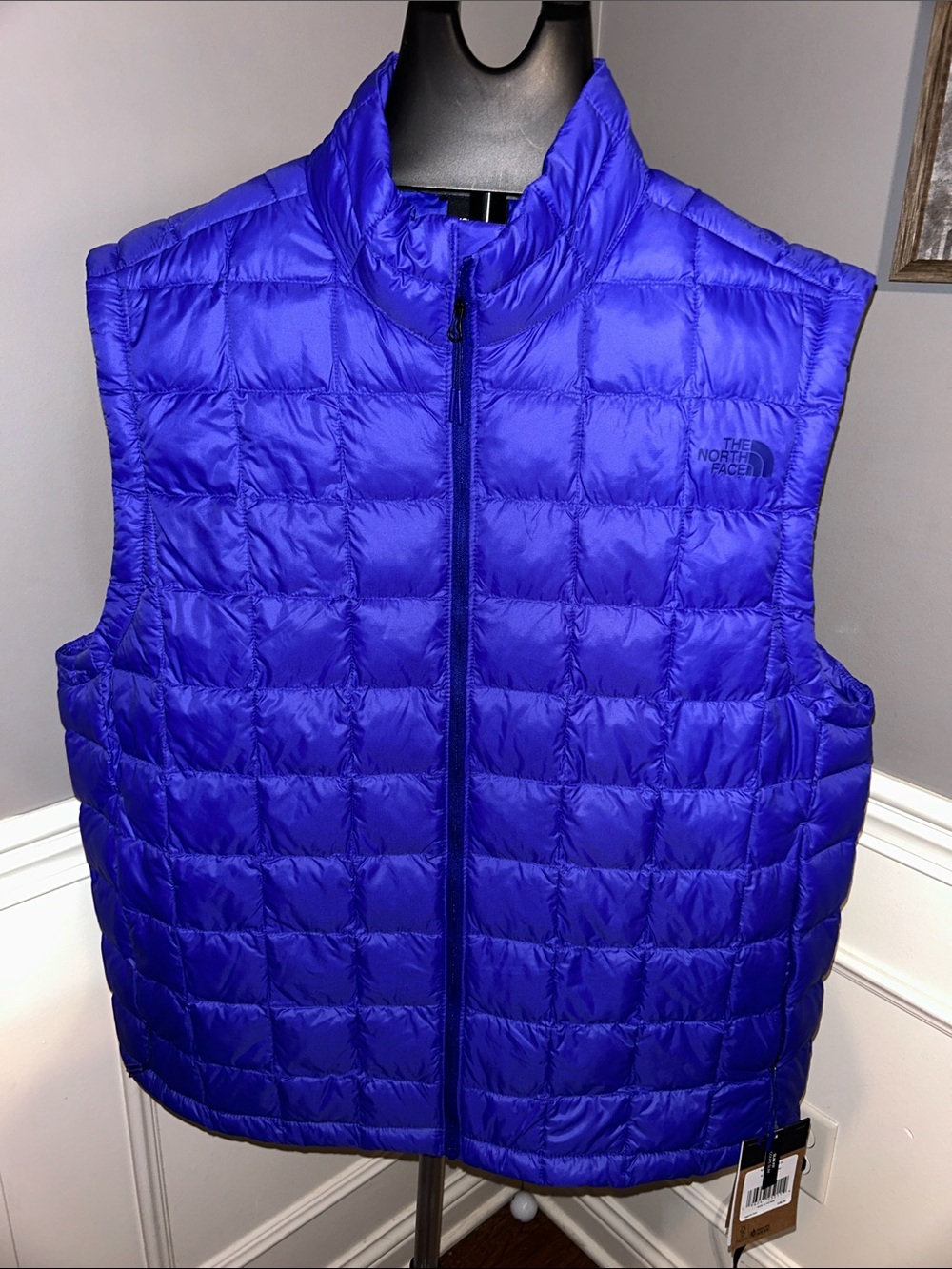 The North Face Men's Electric Blue Quilted Puffy Vest